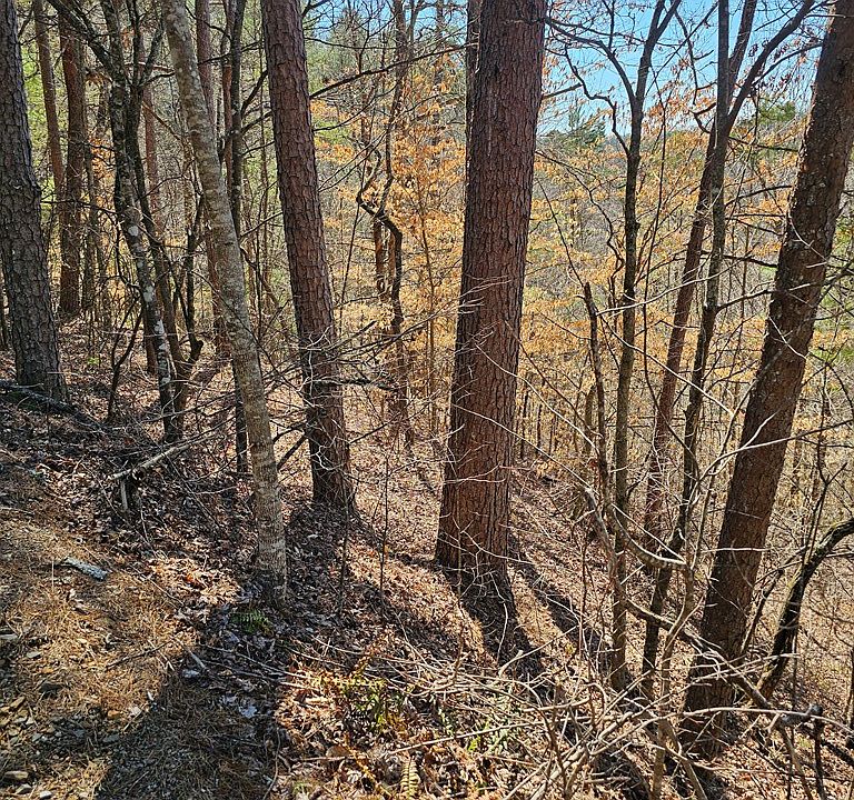 7th image of LOT 26 Oak Ridge Way