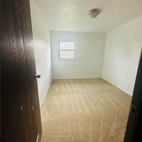 5362 Jeanne Lynn Ave — Photo 8
