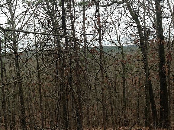 3rd image of 11 Woodland Cir