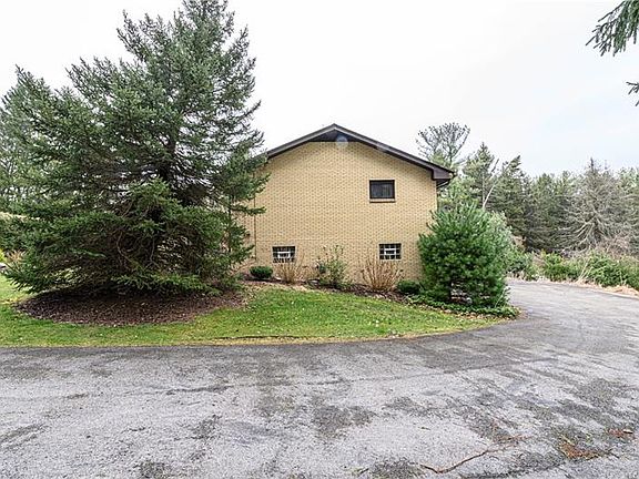 4th image of 4850 Bluebird Ln