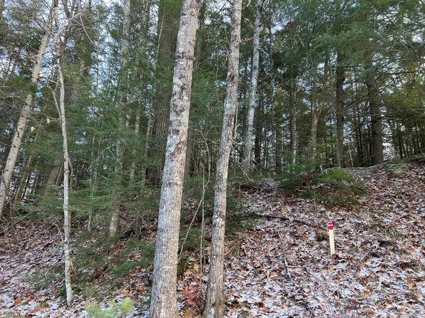 7880 Cth K #K, Star Lake, WI 54561