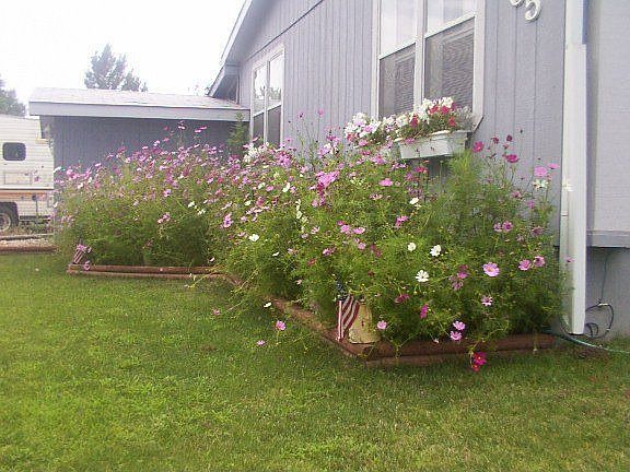 front garden