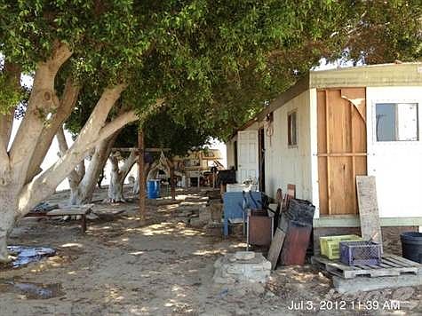 Rear: Huge Indian Laurel trees provide shade. Good Home Site or a Shop Area with easy access.