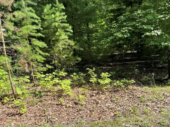 22 Woods Haven Ln, Stuart, VA 24171