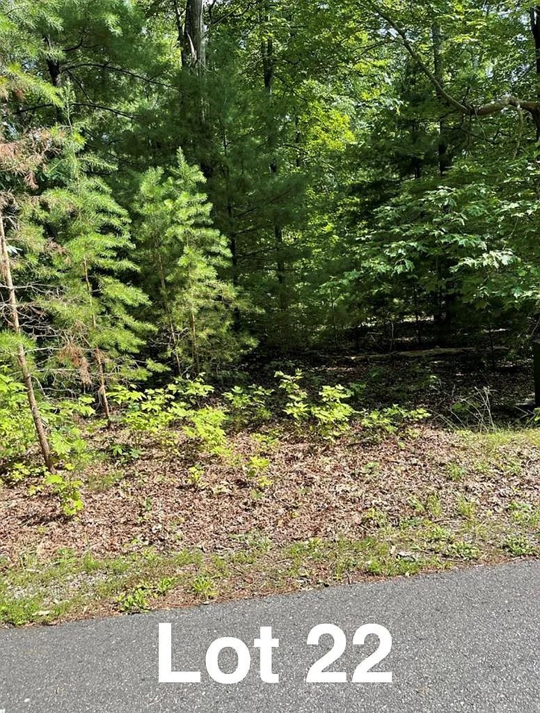 22 Woods Haven Ln photo 1