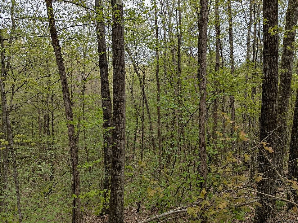 2nd image of 0 Union Hill Rd