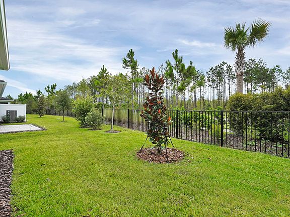 Ellenwood Backyard