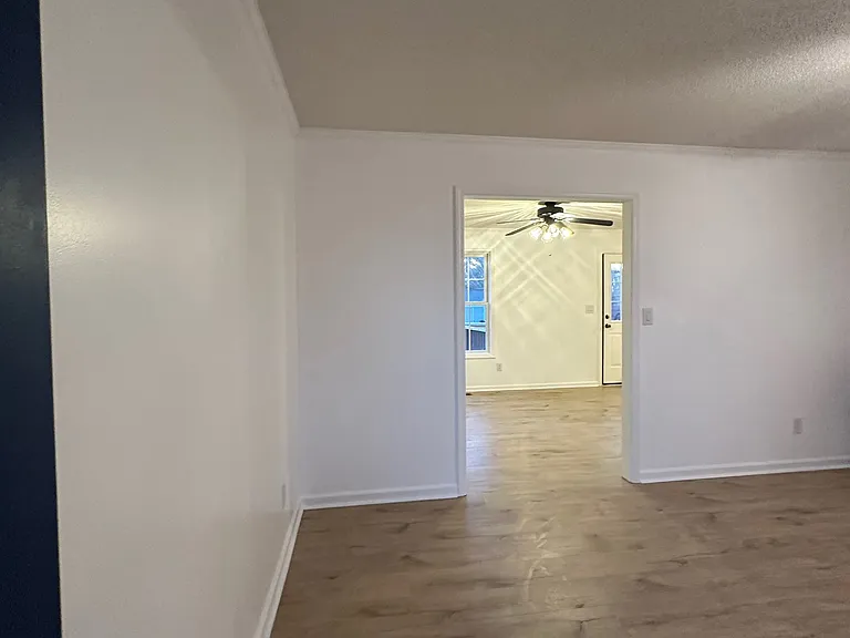 Looking in the front door