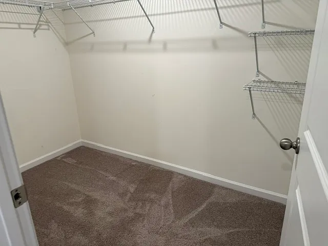 1429 Three Horses Ln — Photo 19