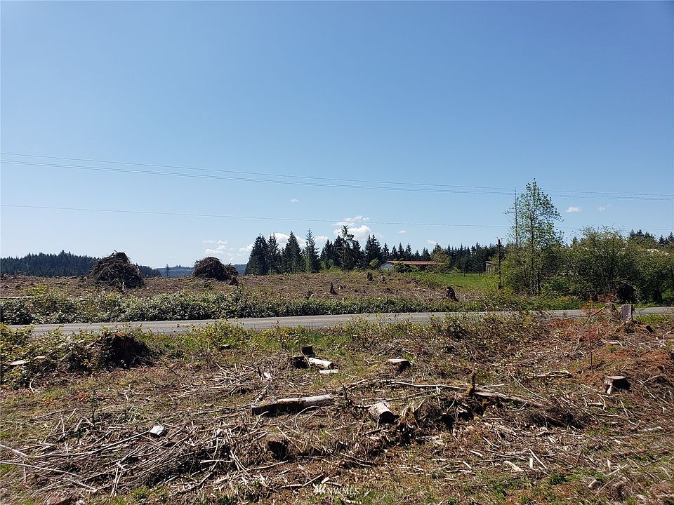 0 Brown Road E, Adna, WA 98522 Zillow