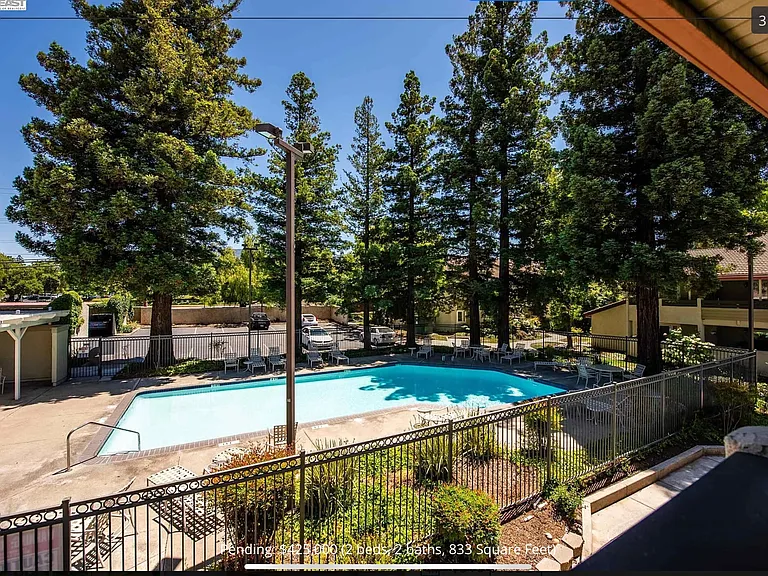 View from patio.