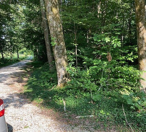 3rd image of 550 Hill Orchard Cem Ln