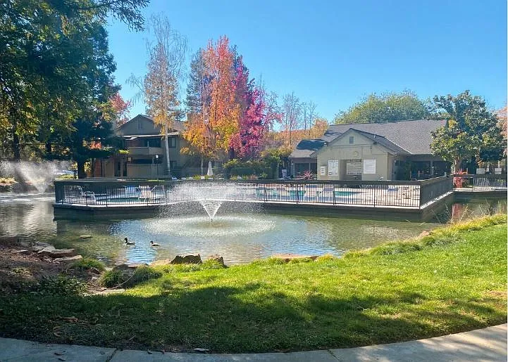 2 bed, 2.0 bath, 1138 sqft, $3,500 — Photo 4