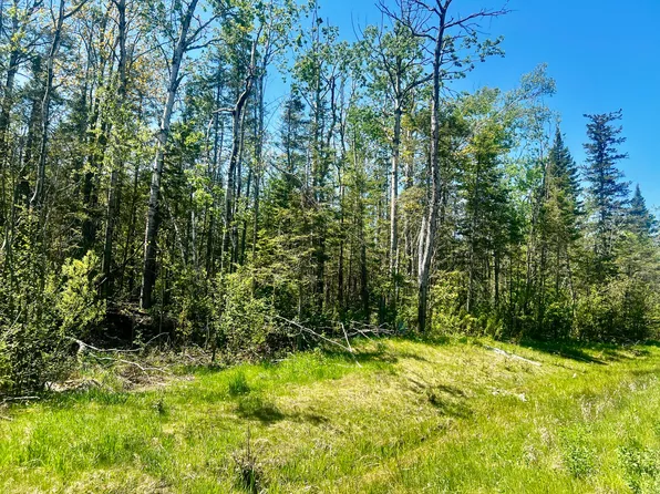 6116 E Us Highway 23, Cheboygan, MI 49721