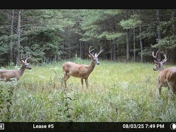 5th image of 0 Powdermill Branch Rd