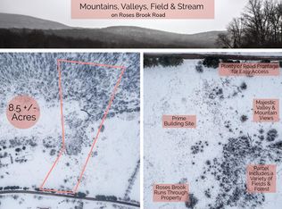 0 Lot 2 Roses Brook Rd, Hobart, NY 13788