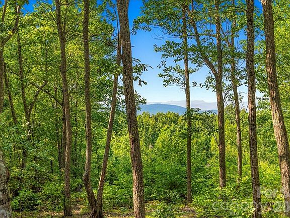 4th image of 207 Mossy Oak Trl #166