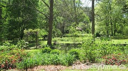 Back view
						:
						Looking toward the back of the property, with the "extra" old house in sight