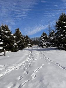 37 1/2 Street, Paw Paw, MI, 49079