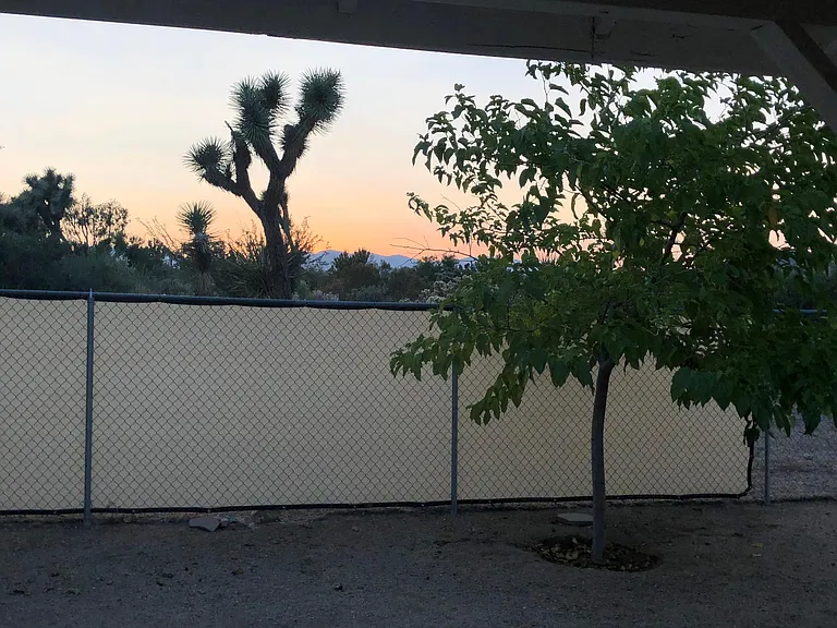7566 Lucerne Vista Ave — Photo 13