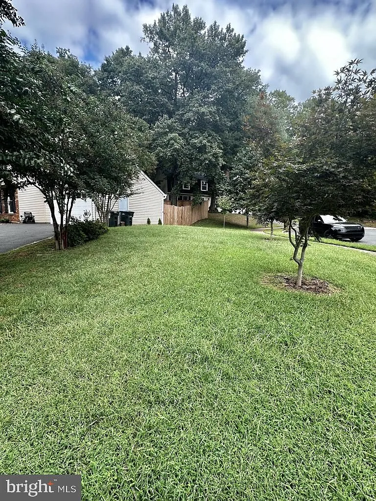 5 bed, 2.5 bath, 3020 sqft, $4,800 — Photo 3