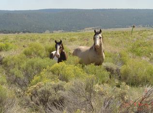 550 Mirabal Ranch Rd, Ramah, NM 87326