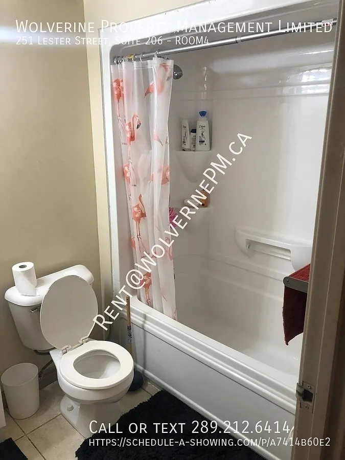 5 unit Student condo minutes from WLU + UW — Photo 3