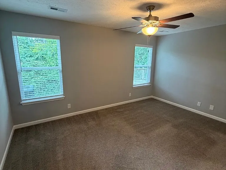 4223 Brogli Dr — Photo 18