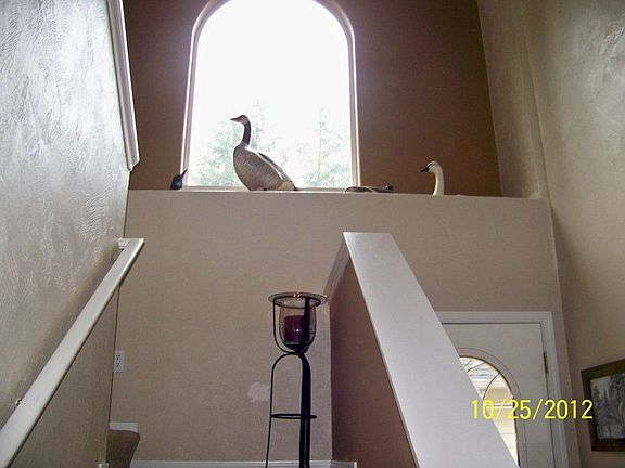 5th image of 151 E Rock Way