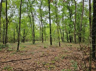 SW 158th Ln, Dunnellon, FL 34432