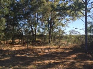 Kicklighter Rd, Lake Helen, FL 32744