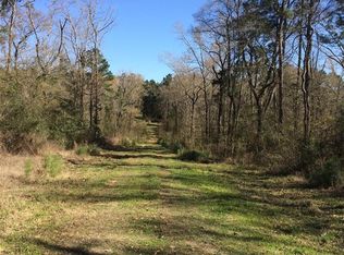 68 Stewart Rd, New Waverly, TX 77358