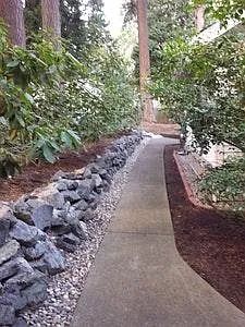 Backyard Landscape