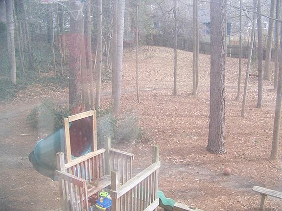 Fenced In Backyard with playground