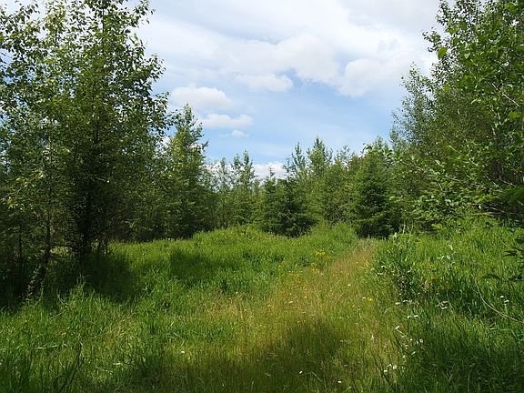 5th image of Jackson Rd E