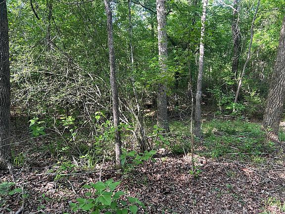 3rd image of 1075 Lee Island Rd