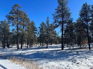 915 Oakbrush St, Pagosa Springs, CO 81147