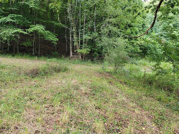 2nd image of 0 Drystone Branch Rd