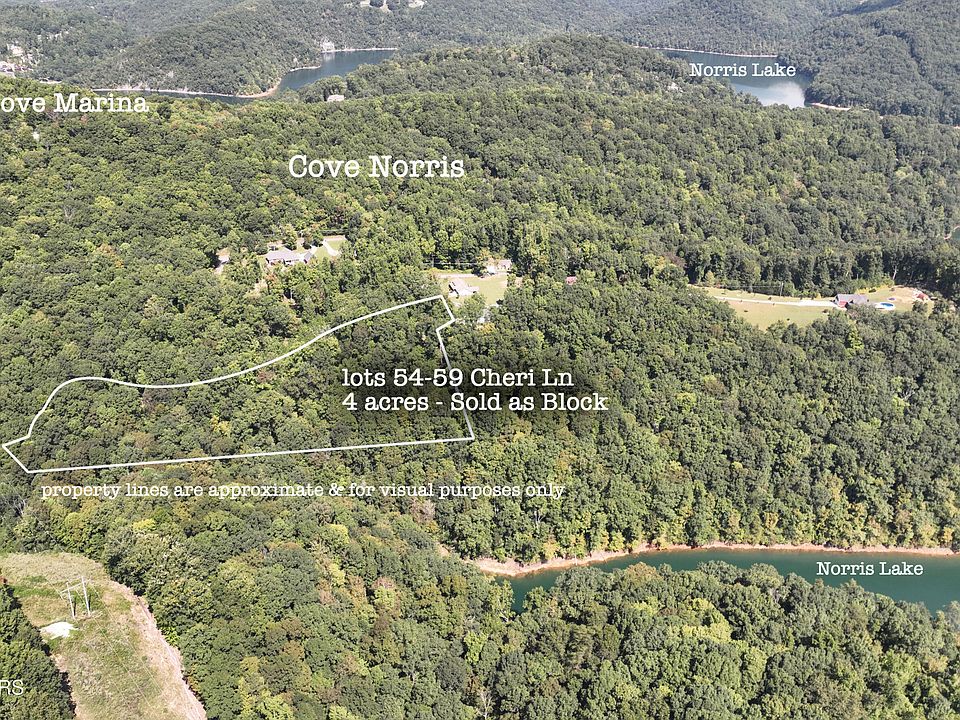 1st image of 54-59 Cheri Ln
