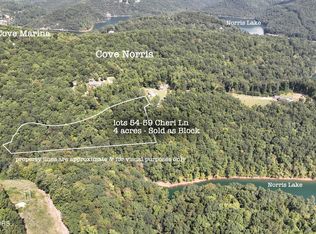 54-59 Cheri Ln, Caryville, TN 37714