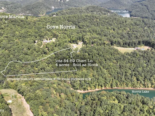 54-59 Cheri Ln, Caryville, TN 37714