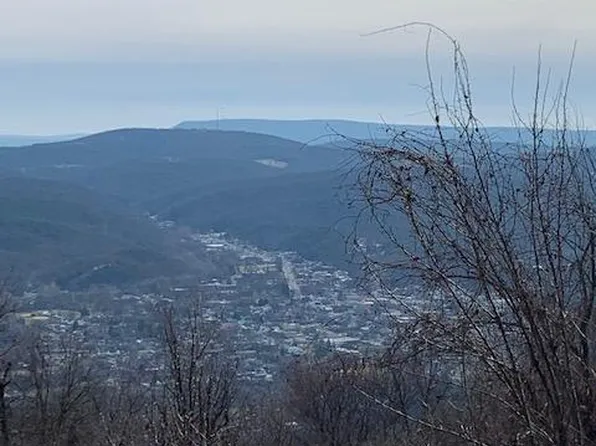 83 Skyview Dr, Romney, WV 26757