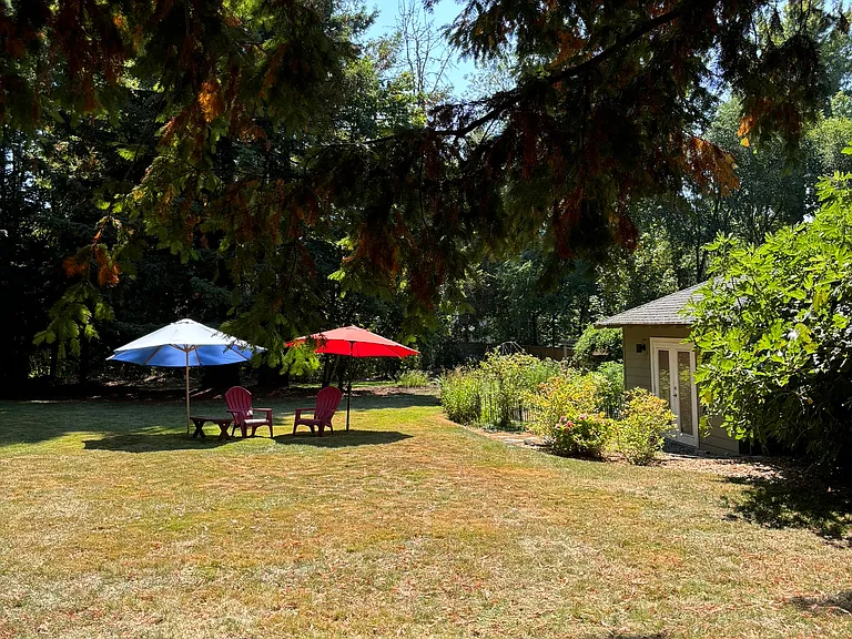 backyard lawn looking south at garden shed area