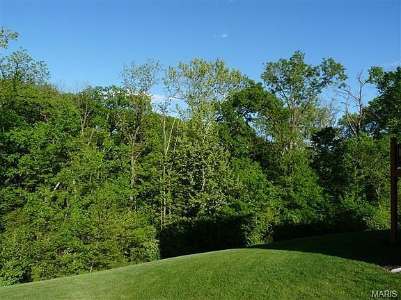 Wooded back yard.
