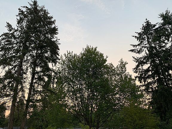 3rd image of 5354 Ruby Pl NE