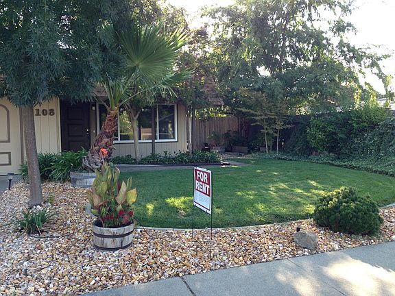 Front Yard Fern Grotto
