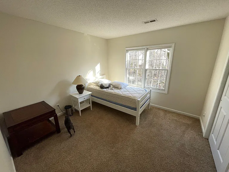109 Swan Quarter Dr — Photo 5