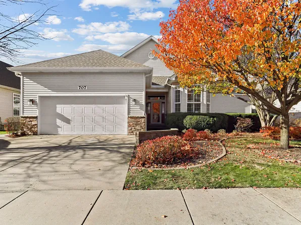 707 Sanctuary Ln, Joliet, IL 60435