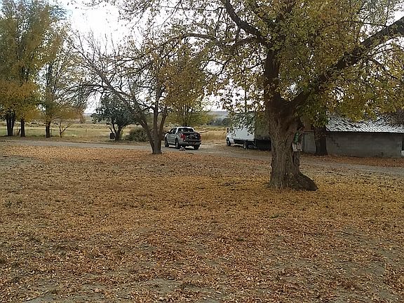 483 Annex Road - Large Yard