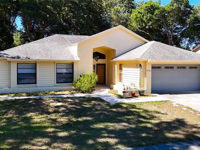 4133 Yellowwood Dr, Valrico, FL, 33594